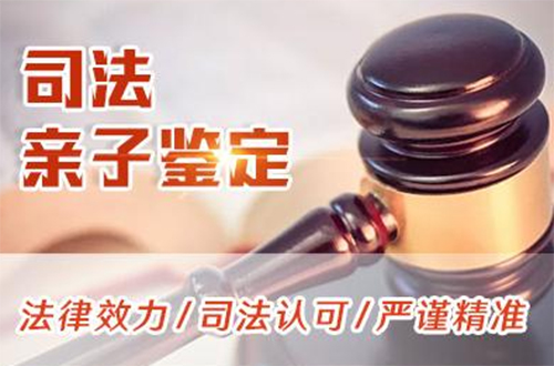 来宾司法亲子鉴定如何办理,来宾司法DNA鉴定费用是多少